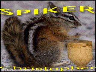 SPIKER