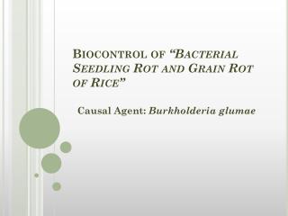Biocontrol of “Bacterial Seedling Rot and Grain Rot of Rice”