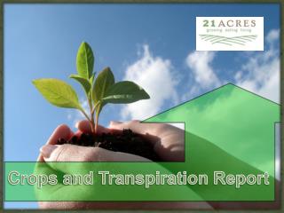 Crops and Transpiration Report