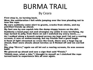 BURMA TRAIL By Ceara