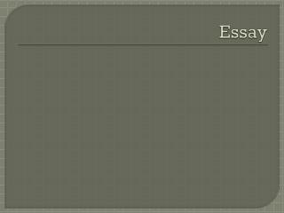 Essay