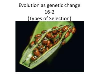 Evolution as genetic change 16-2 (Types of Selection)