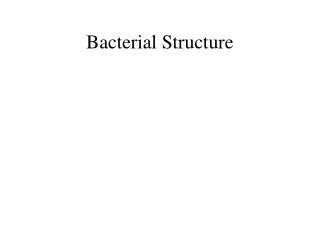 Bacterial Structure