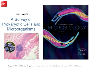 Lecture-3 A Survey of Prokaryotic Cells and Microorganisms