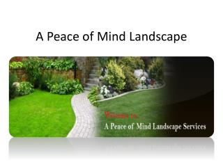 Peace of Mind Landscape