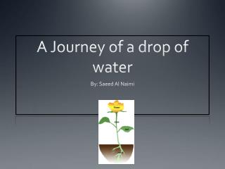 A Journey of a drop of water