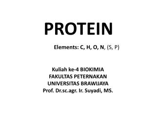 protein elements