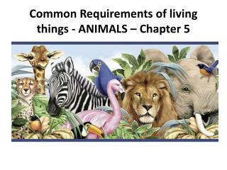 Common Requirements of living things - ANIMALS – Chapter 5
