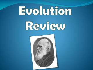 Evolution Review