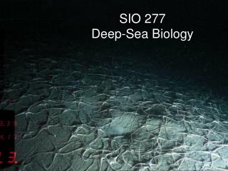 SIO 277 Deep-Sea Biology