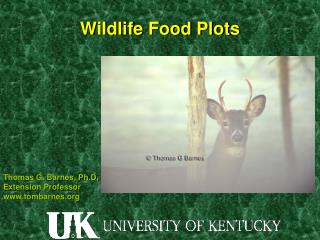 Wildlife Food Plots