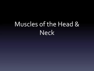 Muscles of the Head & Neck