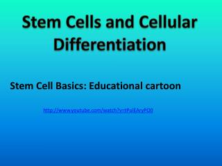 Stem Cells and Cellular Differentiation