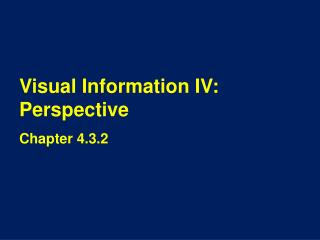 Visual Information IV: Perspective