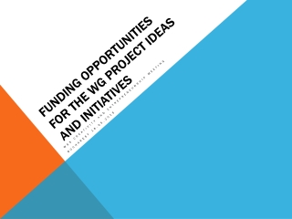 Funding opportunities for the WG project ideas and initiatives