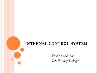 INTERNAL CONTROL SYSTEM
