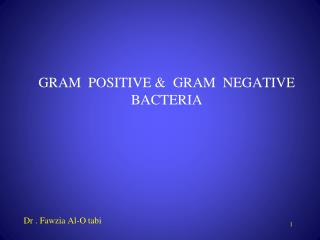 PPT - GRAM POSITIVE & GRAM NEGATIVE BACTERIA PowerPoint Presentation ...