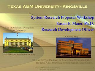 Texas A&M University - Kingsville