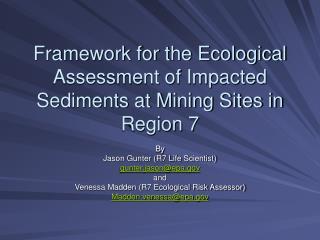 Framework for the Ecological Assessment of Impacted Sediments at Mining Sites in Region 7