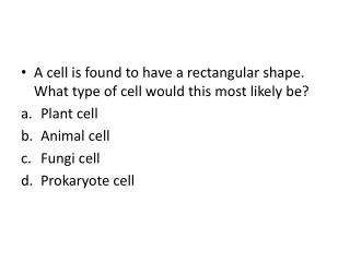A cell is found to have a rectangular shape. What type of cell would this most likely be?