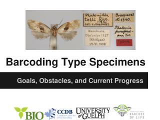 Barcoding Type Specimens