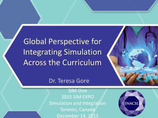 Global Perspective for Integrating Simulation Across the Curriculum