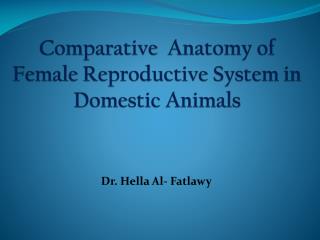 Comparative Anatomy of Female Reproductive System in Domestic Animals