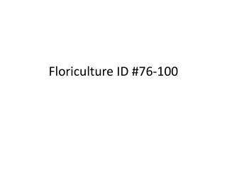 Floriculture ID #76-100