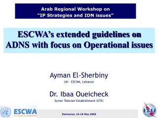 ESCWA’s extended guidelines on ADNS with focus on Operational issues