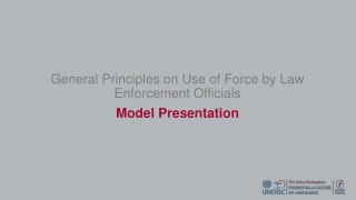 General Principles on Use of Force by Law Enforcement Officials