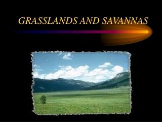 GRASSLANDS AND SAVANNAS