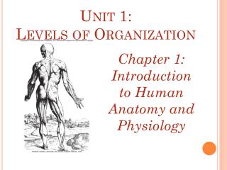 Unit 1: Levels of Organization