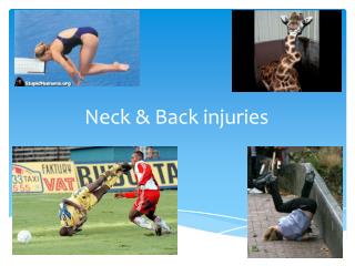 Neck & Back injuries