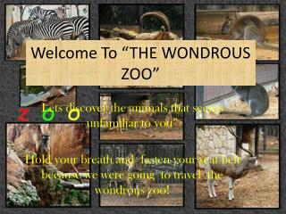 Welcome To “THE WONDROUS ZOO”