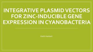 Integrative plasmid vectors for zinc-inducible gene expression in cyanobacteria