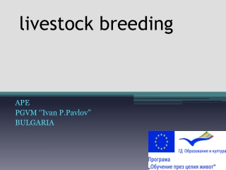 livestock breeding