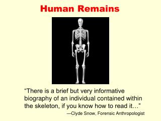 Human Remains