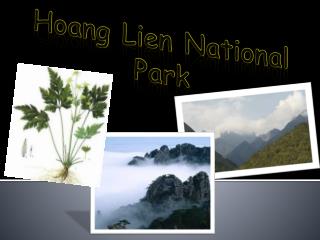 Hoang Lien National Park