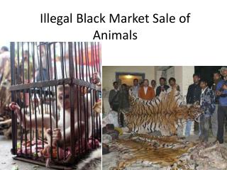 Illegal Black Market Sale of Animals
