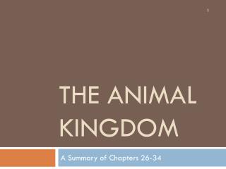 the Animal kingdom