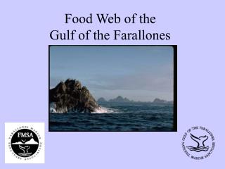 Food Web of the Gulf of the Farallones