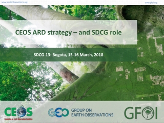CEOS ARD strategy – and SDCG role