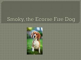 Smoky, the Ecorse Fire Dog