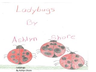 Ladybugs By Ashlyn Shore