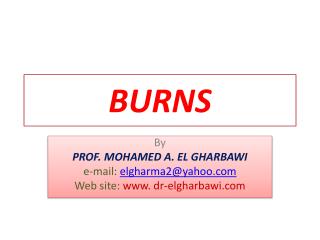 PPT - BURNS PowerPoint Presentation, Free Download - ID:2067049