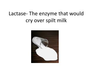 Lactase- The enzyme that would cry over spilt milk