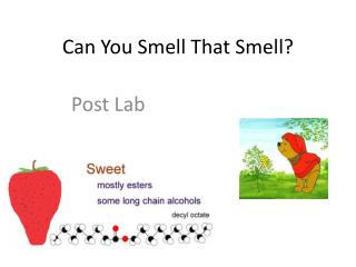 Can You Smell That Smell?
