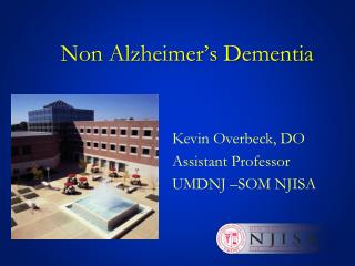 Non Alzheimer’s Dementia