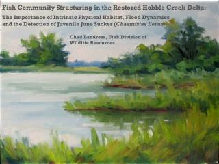 Fish Community Structuring in the Restored Hobble Creek Delta :