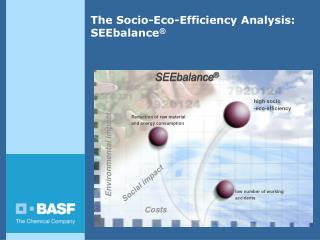 The Socio-Eco-Efficiency Analysis: SEEbalance ®